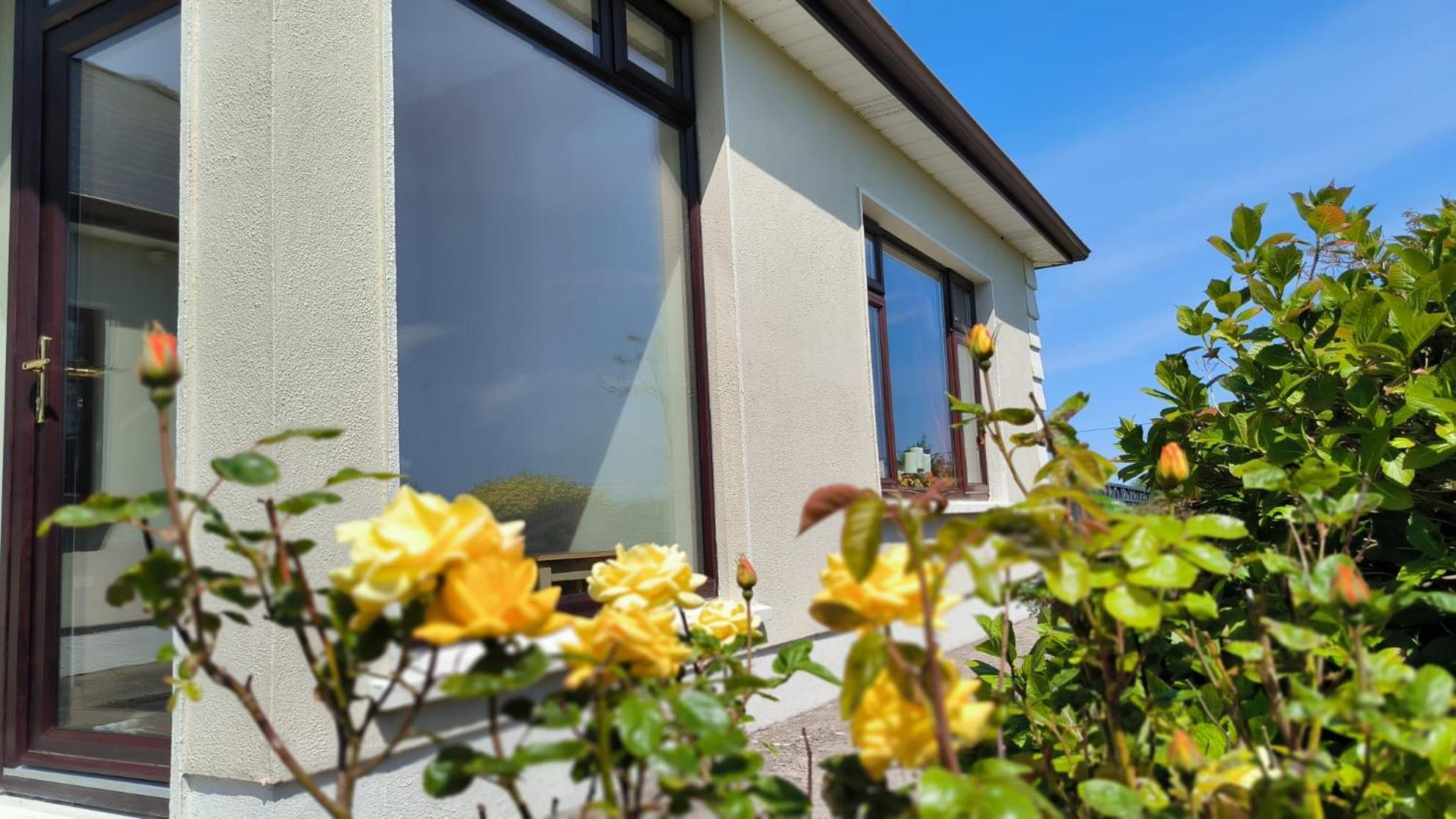 Swinford Country House Exteriér fotografie