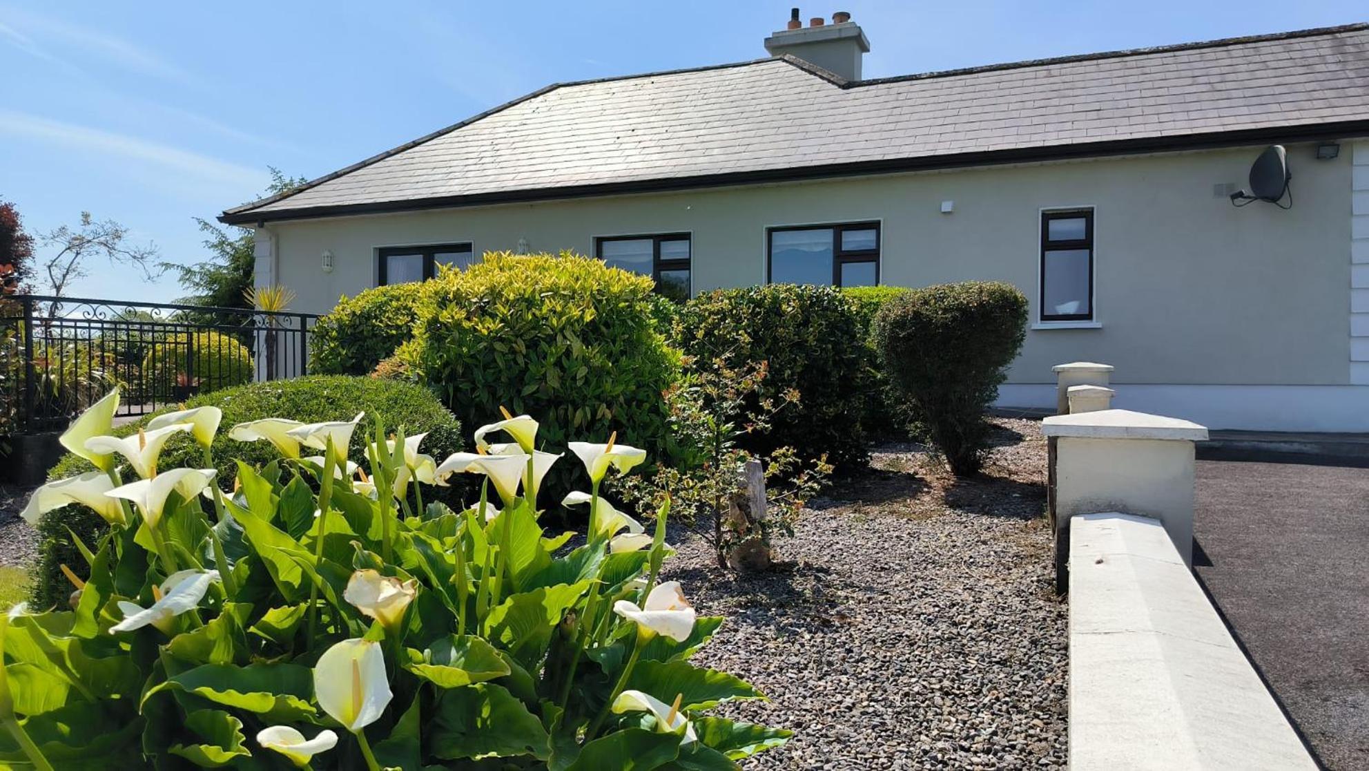 Swinford Country House Exteriér fotografie